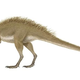 Illustration for article titled This tiny dinosaur had the craziest set of teeth ever